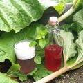 Rhabarber-Zitronenmelisse-Sirup