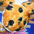 Blaubeer-Muffins