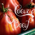 Ochsenherz-Tomaten-Salat mit Picada für[...]