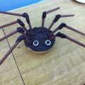 Spinnen-Cupcake