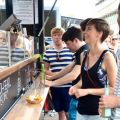 So war das erste Food-Truck-Festival in Freiburg