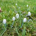 Garten Ende Februar '15