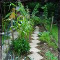 Gemüsegarten im August....