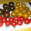 Tomatensalat - den garantiert keiner klaut