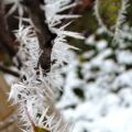 Winter, nicht mit mir!