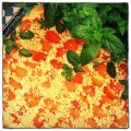 ganz klassich: Aprikosenstreusel nach Mamas[...]