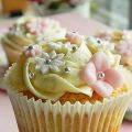 Basic Moist Vanilla Cupcakes.