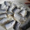 Fisch : Bismarckhering auf Apfel-Joghurt dazu[...]
