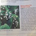 Es stand in der Zeitung... von Bärlauch und[...]