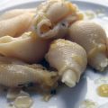 Conchiglioni in Gelbe-Tomaten-Sugo