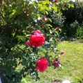 Endlich Sonne!