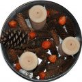 Herbstzeit=Kürbiszeit