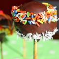 Die besten Cake Pops der Welt