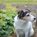 Abschied von Maja