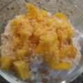 Dessert: Mango-Maracuja-Quark mit Kokos