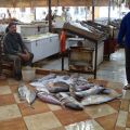 Fisch aus dem Ofen - Thanneya Samak