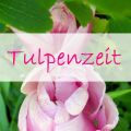 Tulpenzeit