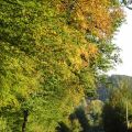 Heim@ - Es wird herbstlich...