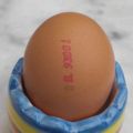 Kreta und Eier, Rührei und Omelette