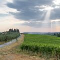 Geheimnisvolle Schönheit, leckeres Essen und[...]