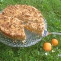 Aprikosen-Streusel-Kuchen