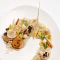 Jakobsmuschel auf großer Fahrt - White Dinner[...]