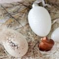 Frohe Ostern!!! Und ein Brombeertörtchen für[...]