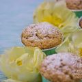 Vegane Muffins