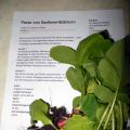 Pesto von Radieserlblättern