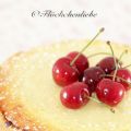 Ein schnell gemachter Käsekuchen