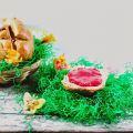 Osterpinzen mit Rhabarber-Himbeer Marmelade