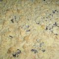 Pudding-Mohn-Streuselkuchen