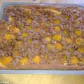Schoko-Streuselkuchen mit Aprikosen