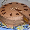 Aprikosen - Schokosahne - Torte