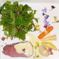 Roastbeef auf Wildkräuter-Salat mit einer Soße[...]