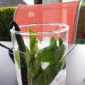 Limone Special - Cocktail einmal anders