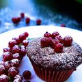 Vegane Schokoladenmuffins mit Johannisbeeren