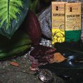 Die Expedition | neue vegane Schokolade von[...]