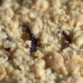 Nicht nur Pflaumen Kuchen