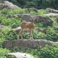 Tag 4 - Ein Besuch im Wildpark