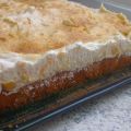 Aprikosen-Schmand-Kuchen