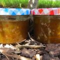 Rhabarber-Chutney mit Chili und Ingwer