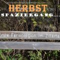 HERBSTSPAZIERGANG......