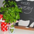 Fresh Parsley und die neue Kräutervase