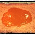 Schoko - Marillenmarmelade - Kuchen