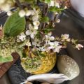 Meilenstein Ostern - mit Käsekuchen im Glas