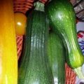 Zucchini gefüllt mit Hackfleisch