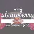the strawberry project {Erdbeereis No°2}