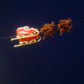 Story-Pics #50: Weihnachtsmann auf Werbetour