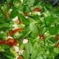 Frischer grüner Salat mit Zitronendressing